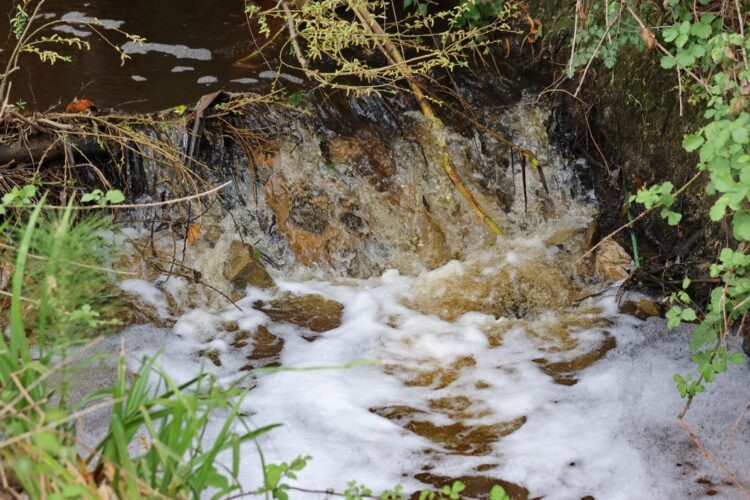 Descarga proveniente de conduta de saneamento poluiu ribeira do Picheleiro, na Barosa
