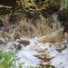 Descarga proveniente de conduta de saneamento poluiu ribeira do Picheleiro, na Barosa