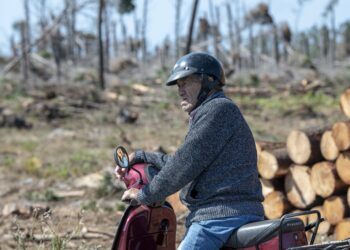 Kristin e os incêndios aceleram a desertificação da região