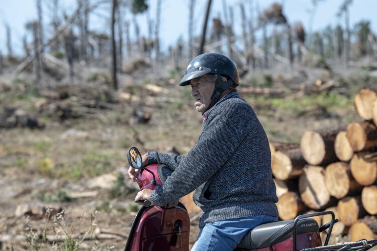 Kristin e os incêndios aceleram a desertificação da região