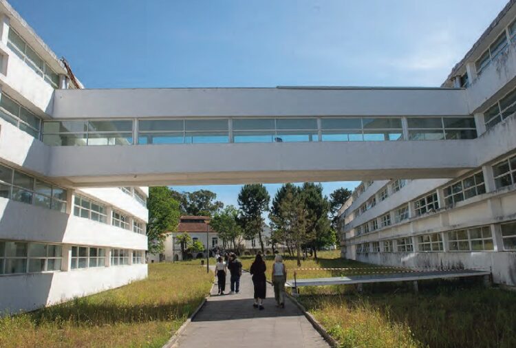 Directora da ESAD renuncia. Docentes contratados do Politécnico vão trabalhar mais e ganhar o mesmo