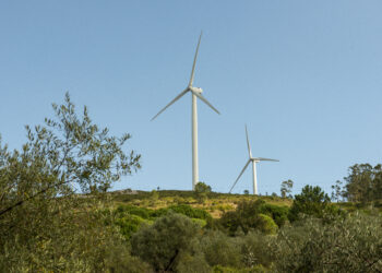 Região contesta proposta para zonas de aceleração de energia renováveis