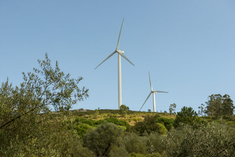 Região contesta proposta para zonas de aceleração de energia renováveis