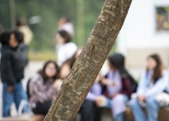 Leirimar organiza encontro sobre Rehumanizar a escola na era da IA