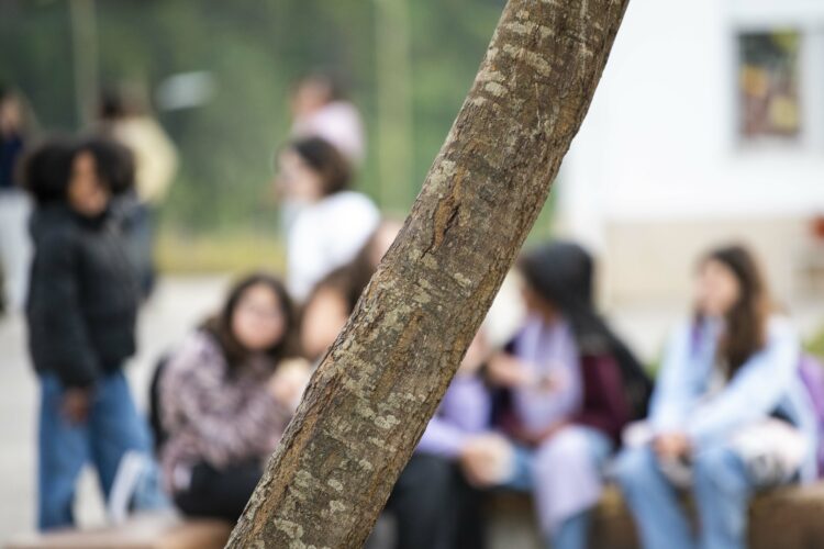 Leirimar organiza encontro sobre Rehumanizar a escola na era da IA