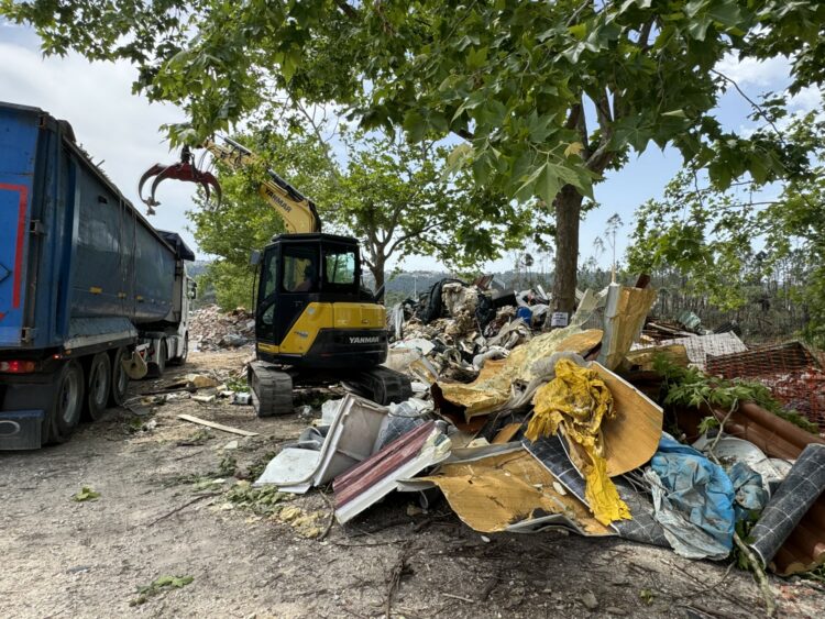 Câmara de Leiria recolheu mais de 10 mil toneladas de resíduos deixados pela tempestade