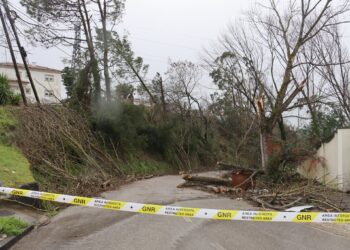 Mau tempo: Ourém estima prejuízos entre  30 a 35 ME em infra-estruturas municipais