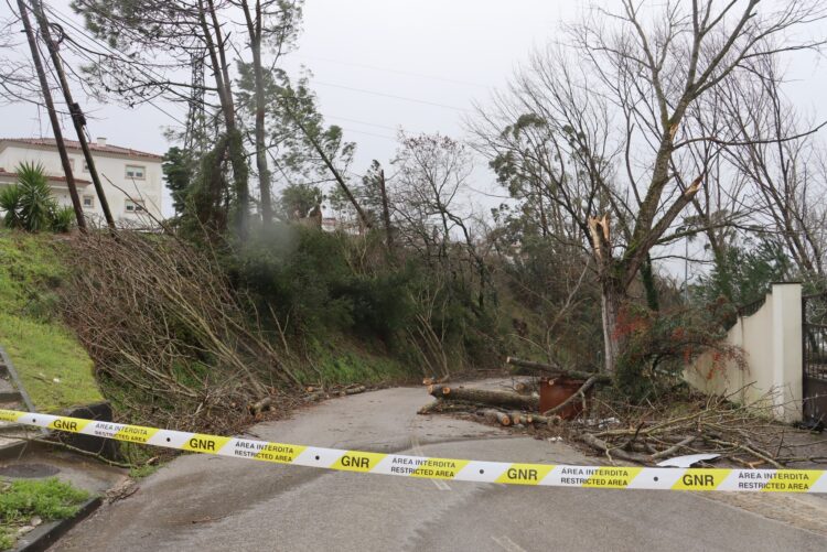 Mau tempo: Ourém estima prejuízos entre 30 a 35 ME em infra-estruturas municipais