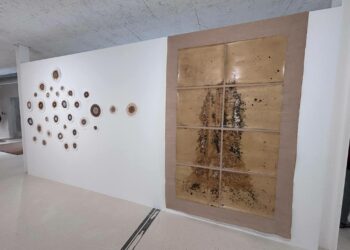Exposições: A fala do tronco