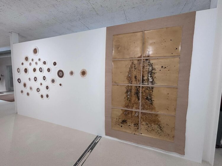 Exposições: A fala do tronco