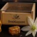 A partir da Batalha, Bee Free Bio amplifica experiências à base de mel