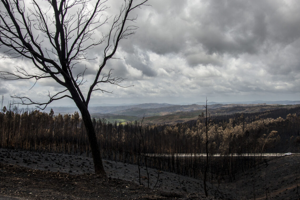 Associação homenageia vítimas nove anos após incêndios de Pedrógão Grande