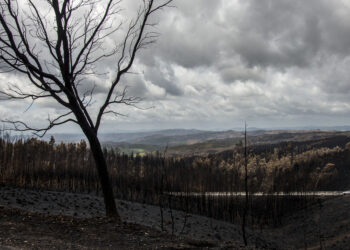Associação homenageia vítimas nove anos após incêndios de Pedrógão Grande