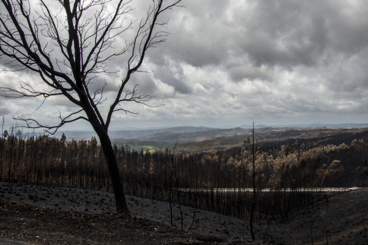 Associação homenageia vítimas nove anos após incêndios de Pedrógão Grande