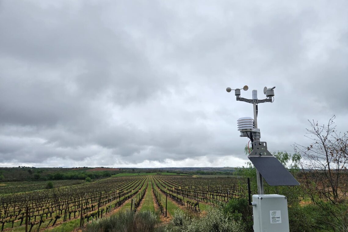 Dos drones à IA, a agricultura está cada vez mais dependente da tecnologia
