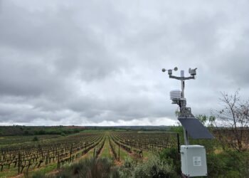 Dos drones à IA, a agricultura está cada vez mais dependente da tecnologia