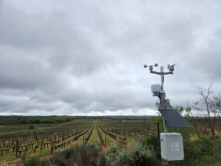 Dos drones à IA, a agricultura está cada vez mais dependente da tecnologia
