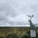 Dos drones à IA, a agricultura está cada vez mais dependente da tecnologia