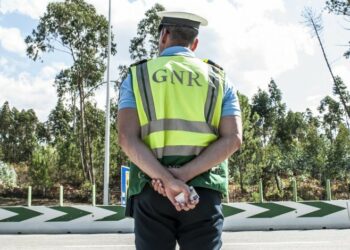 GNR apreende 16 pesados em Leiria, Coimbra e Castelo Branco por adulteração de emissões