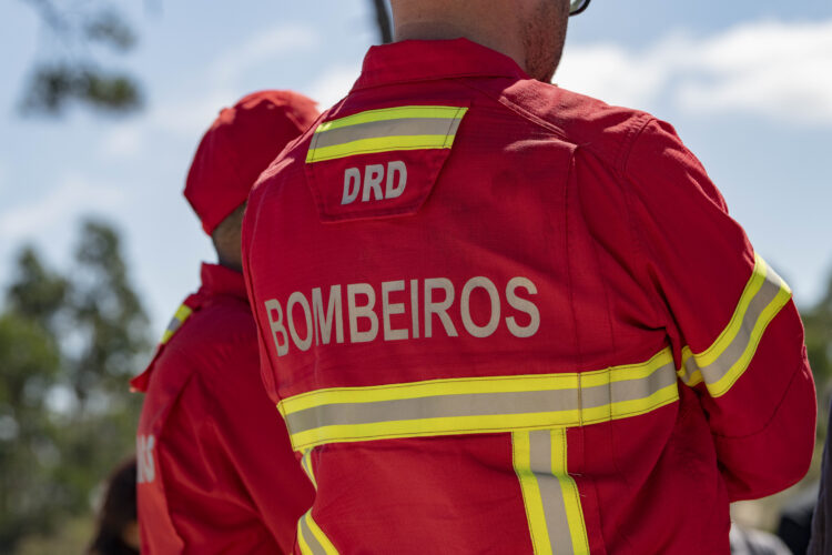Colisão entre dois parapentes causa ferido grave no concelho de Alcobaça