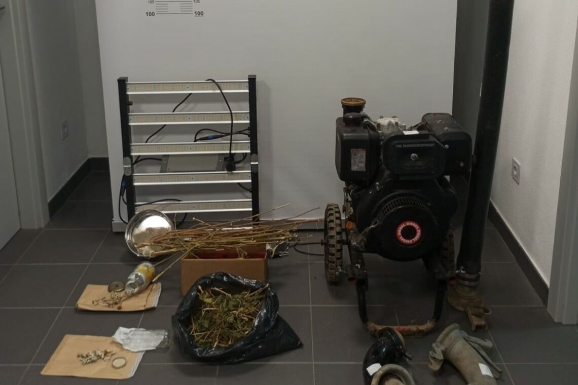 Apreendidas mais de 150 doses de canábis no Bombarral. Homem e mulher foram detidos