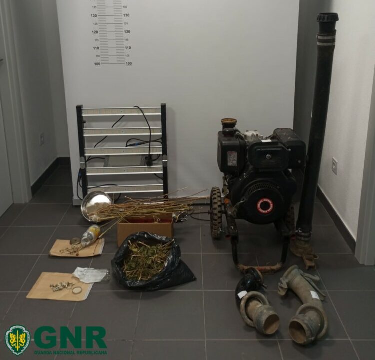 Apreendidas mais de 150 doses de canábis no Bombarral. Homem e mulher foram detidos