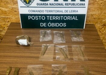 Homem detido com 102 doses de haxixe em Óbidos