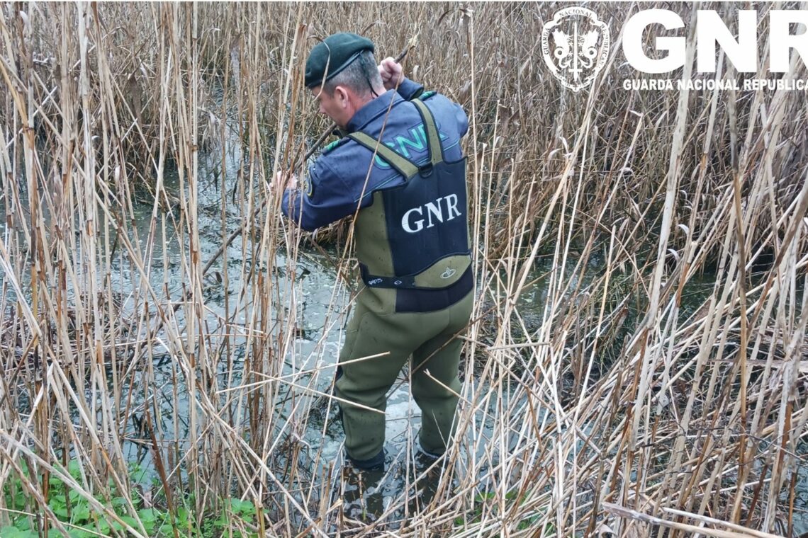 GNR detecta descarga de efluentes directamente para afluente do rio Arunca