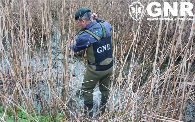 GNR detecta descarga de efluentes directamente para afluente do rio Arunca