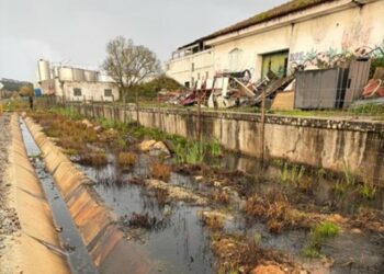 Avaria em destilaria provoca descarga ilegal no rio do Corga