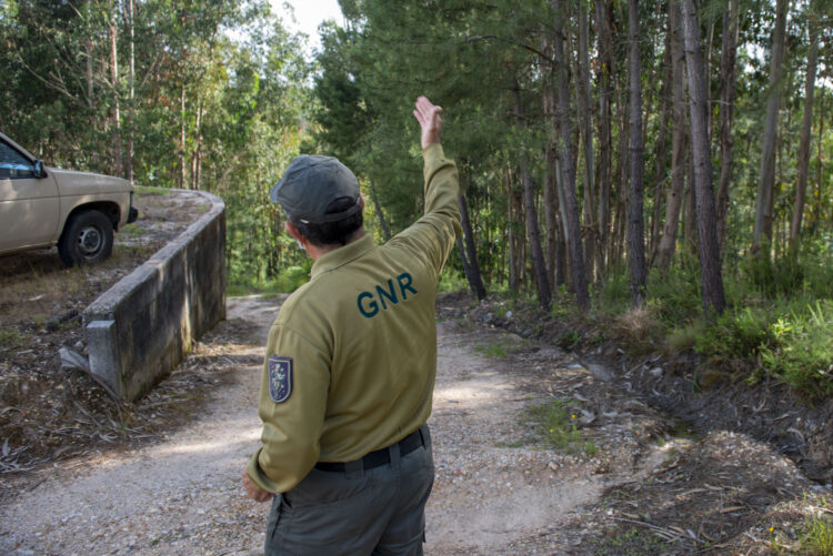 Crimes contra o ambiente aumentam no distrito