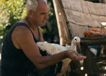 Hádoc. O Conto de Silyan, um homem em busca de um lar