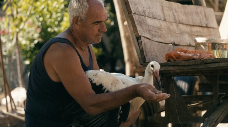 Hádoc. O Conto de Silyan, um homem em busca de um lar