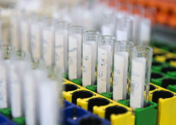 Unidade Local de Saúde vai criar quatro centros de diagnóstico integrado