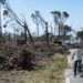 Abertas candidaturas para apoios de proprietários de terrenos florestais