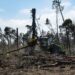 Incêndios: Prazo para limpar terrenos termina esta terça-feira. Proprietários pedem tolerância