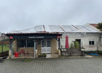 Negócios reabrem a diferentes velocidades. Resiliência impera
