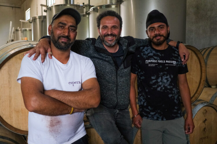 Imigrantes já são insuficientes para dar resposta à falta de mão-de-obra