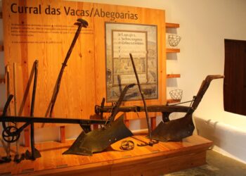 Agromuseu recolhe histórias e memórias da Ortigosa