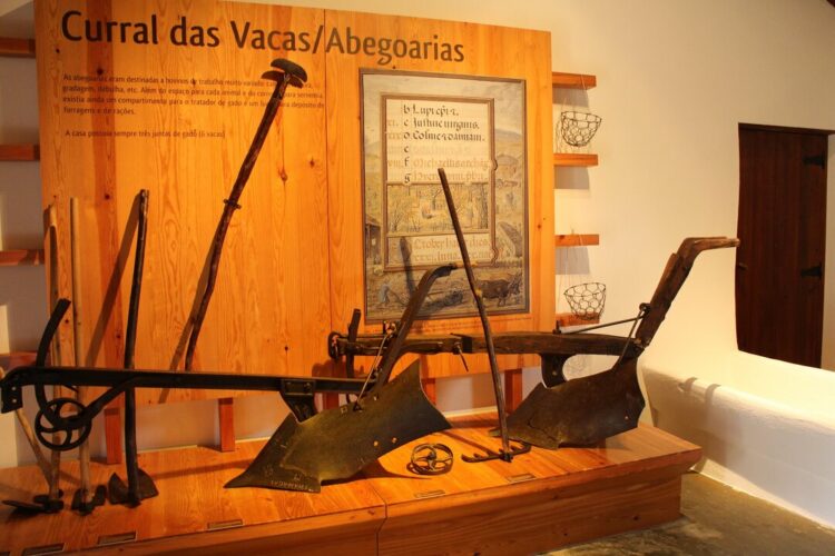 Agromuseu recolhe histórias e memórias da Ortigosa