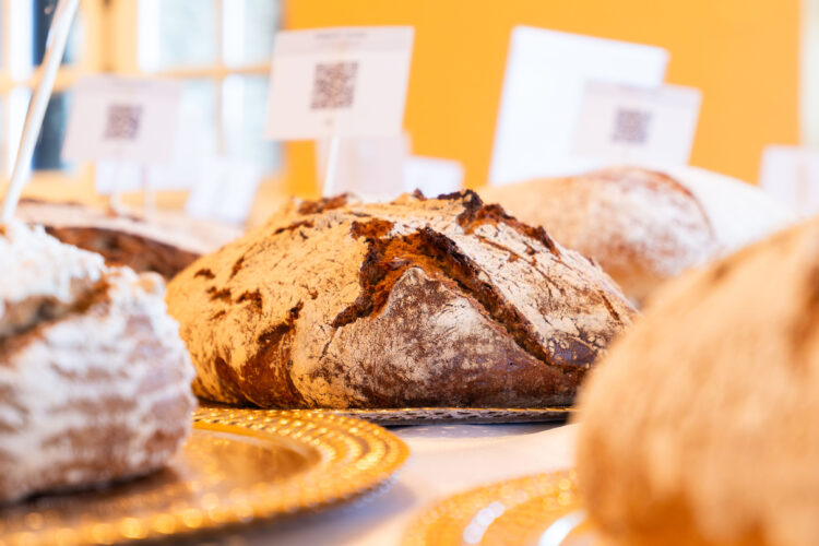 No concurso O Melhor Pão de Portugal, Leiria destaca-se com a melhor broa
