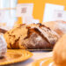 No concurso O Melhor Pão de Portugal, Leiria destaca-se com a melhor broa