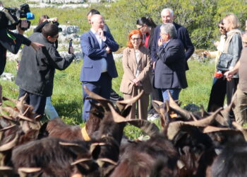 Programa de apoio ao pastoreio apresentado em Porto de Mós