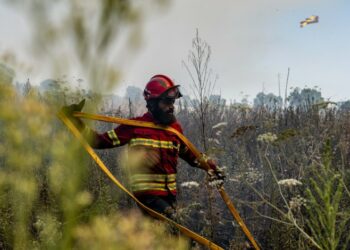 Incêndio no concelho de Pombal mobiliza cinco meios aéreos