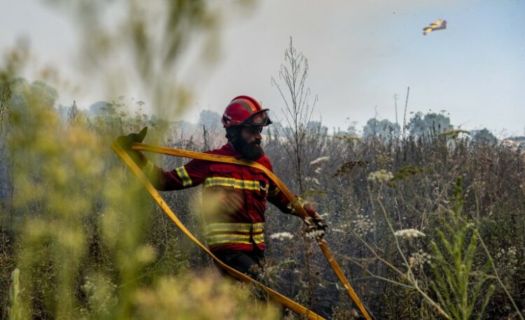 Incêndio no concelho de Pombal mobiliza cinco meios aéreos