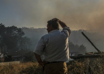 Incêndios: Municípios da Região de Leiria sem queimas e queimadas a partir de segunda-feira