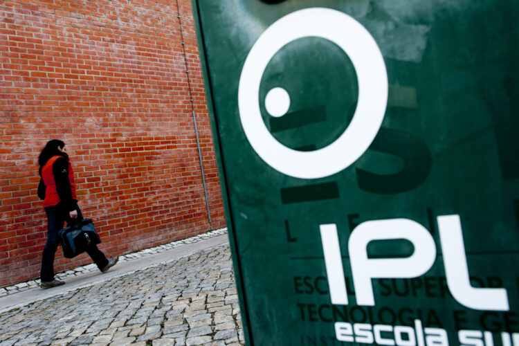 Politécnico de Leiria é a 10.ª instituição de ensino do País mais empreendedora