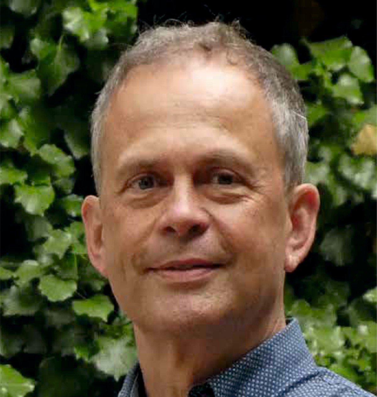 João Marcelino, presidente da PassivHaus João Marcelino, presidente da PassivHaus