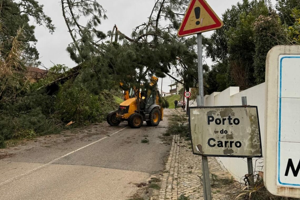 Porto de Mós contabiliza quase 13 ME de danos provocados pelo temporal