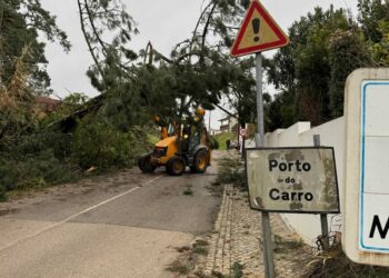 Porto de Mós contabiliza quase 13 ME de danos provocados pelo temporal